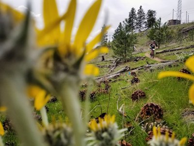 Descending from the towers on Upchuck.