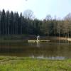 A lake in the middle of the woods