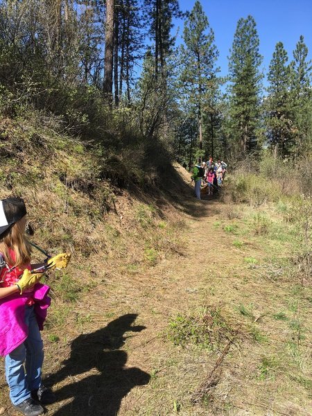 The Garden Valley Wolverines on Wheels youth MTB club clearing the new Teacher's Pet Trail.