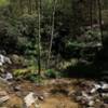 Waterfall on Barnes Creek.