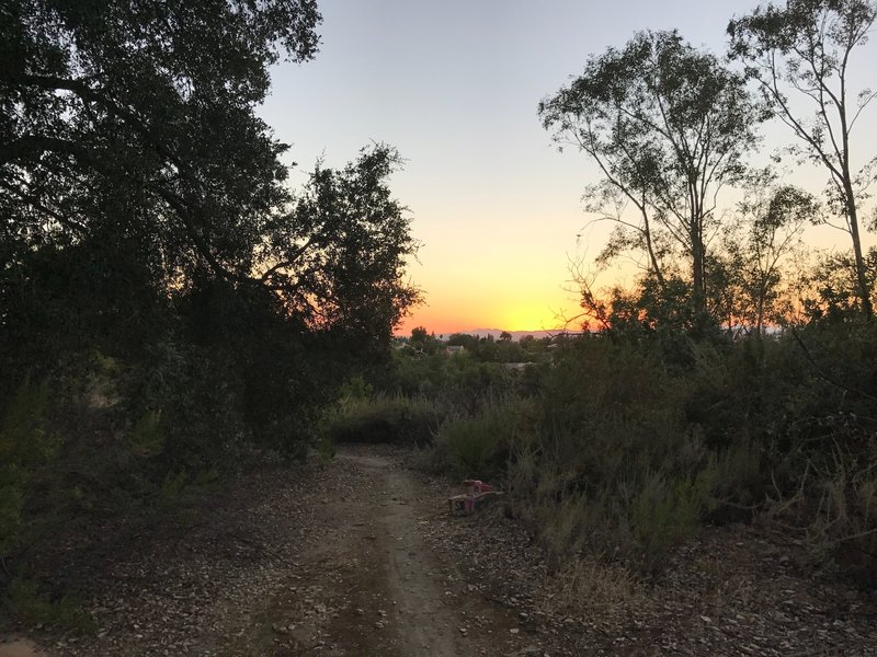 Clearing just past the lower end trailhead of the Topanga-Calabasas Connector