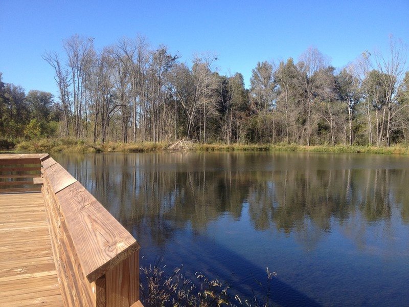 Observation Deck at Hector H. Henry II Greenway (Moss Creek)