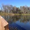 Observation Deck at Hector H. Henry II Greenway (Moss Creek)