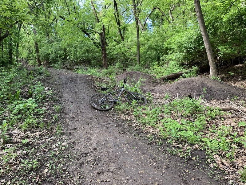 The series of jumps at the bottom of the trail. (Bike for scale)