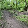 The series of jumps at the bottom of the trail. (Bike for scale)