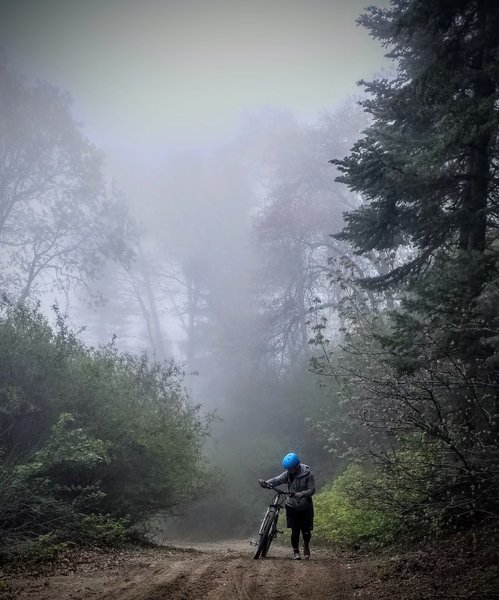 Hiking it near the top of Sugarpine Mountain in the cloud coverage