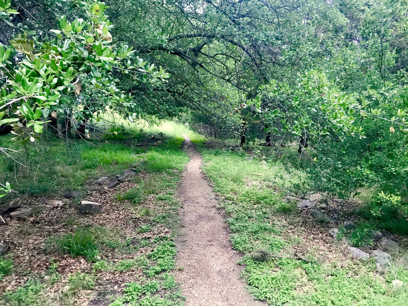 Pavillon to Lake Loop Connector Trail