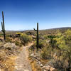 Smooth trail in the desert near Lake Pleasant