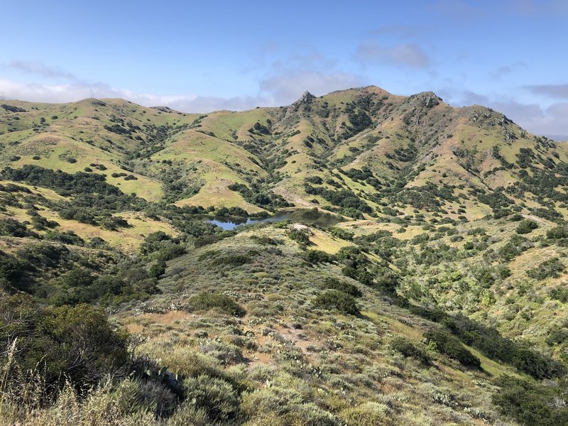 View of the lake from up the hill