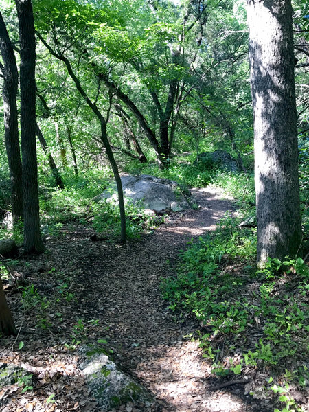 Smith Greenbelt Connector path