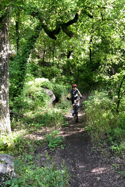 Squires trail...headin out to Hurst Hollow