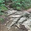 Cool Rock Shelf/Waterfall crossing