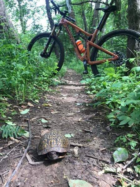 Sharing the Trails!