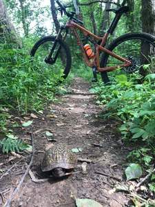 Sharing the Trails!
