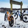 Fatbike kind of day