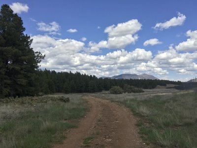 Lovely but noisy trail since it is very close to the airport.