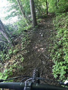 Beginning of the blue line.