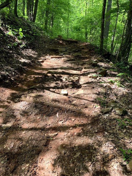 A very dangerous portion of Green's Lick. A small but blind jump landing on rough terrain. Claimed my shoulder, wrist, and collar bone.