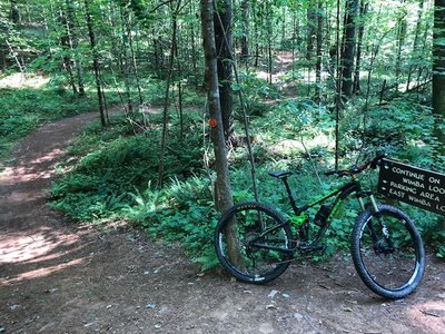 Junction of West and East Wimba trails