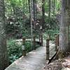 Bridge on the connector trail