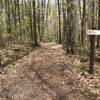 Typical of the entire trail system. Truck width the whole way.