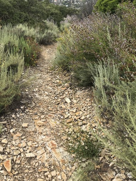 The middle section of the Topanga-Calabasas Connector has loose rock adding an extra challenge when climbing