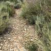 The middle section of the Topanga-Calabasas Connector has loose rock adding an extra challenge when climbing