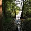 Trail along lake Houston