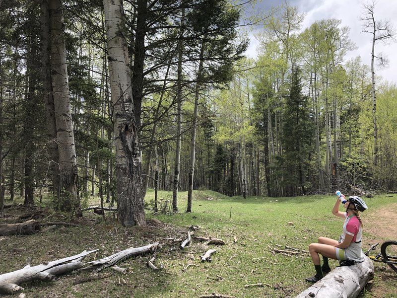 Taking a quick water break on our way up to the top. Beautiful tall aspens & nice grassy meadows.