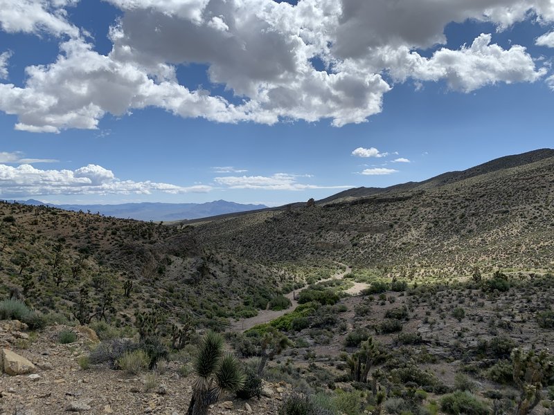 Watering Hole. This part of the trail is really fun.