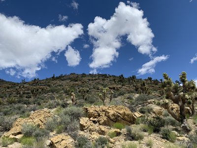 Looking up the hills to the west of the trail near the watering hole.