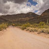 An easy gravel road leads up into the Ajo Mountain Range