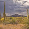 A thunderstorm rumbles across the desert