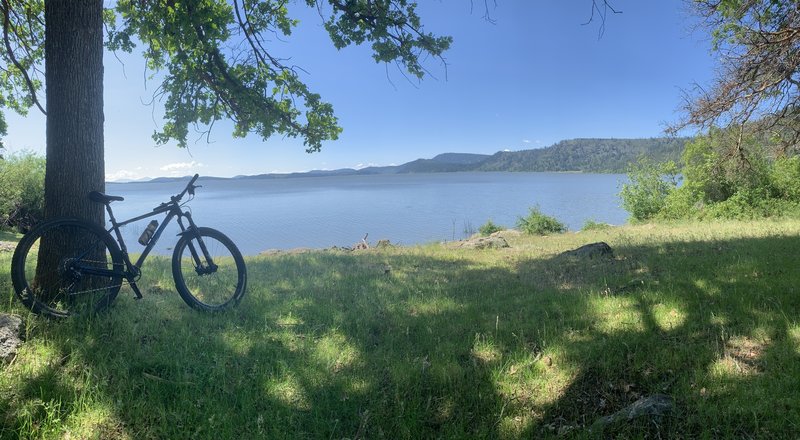 Upper Klamath Lake from the shaded oak grove at the north end of Queen of The Lake