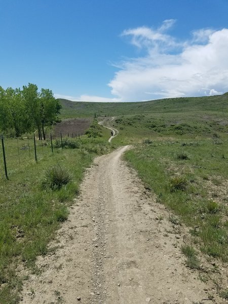 Last stretch down then a short climb to Boulder Valley Ranching Parking (Vault Toilets)