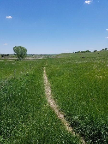 Beginning of singletrack portion of North Rim.