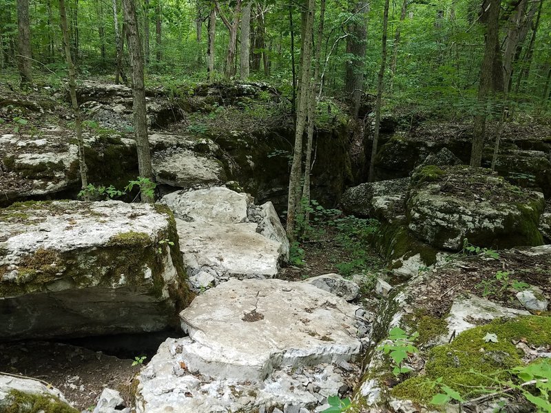 Lots of big rocks were moved to make this sweet trail