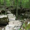 Lots of big rocks were moved to make this sweet trail