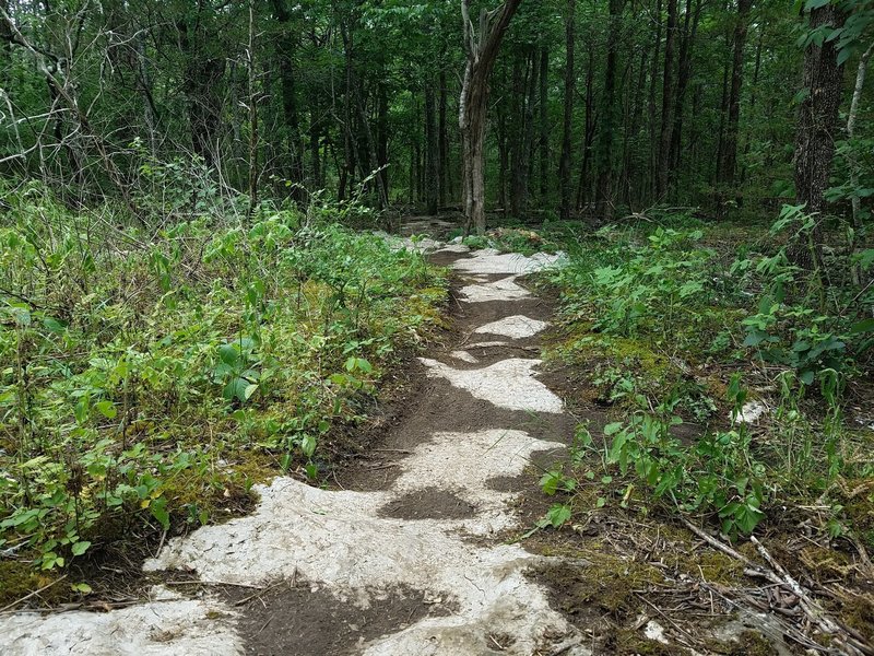 This part of the trail is rock covered with patchy layers of dirt.