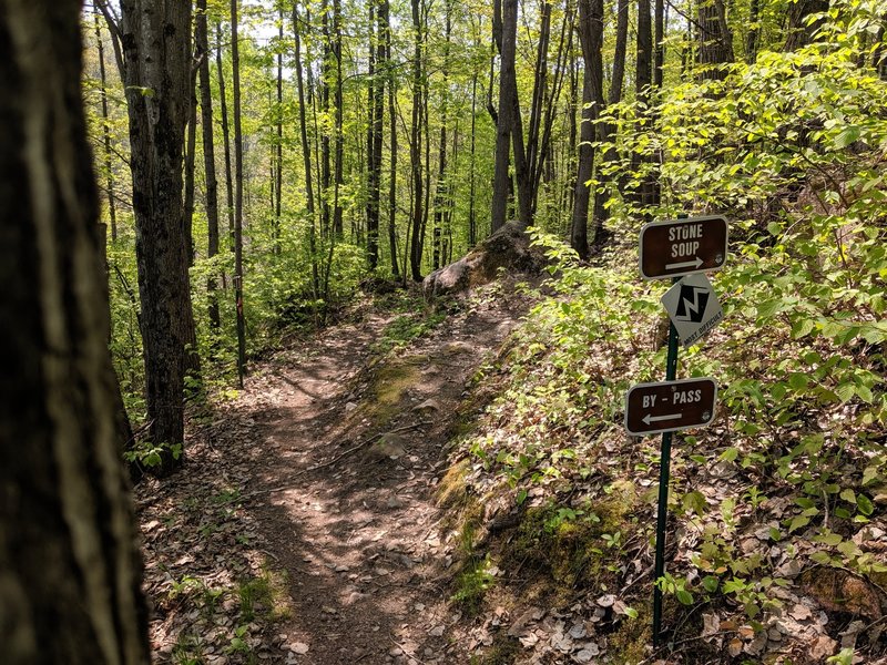 Trails split - Stone Soup to the right, The Original continues to the left.