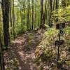 Trails split - Stone Soup to the right, The Original continues to the left.