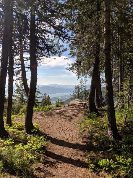 Beautiful viewpoint overlooking Sandpoint