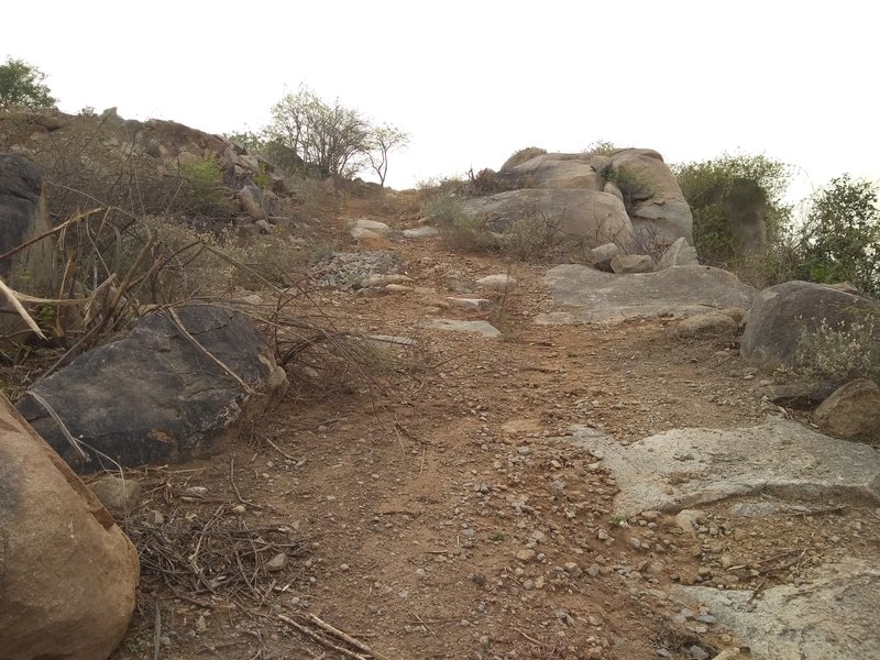 The fastest and most fun part of the trail, if you can control a bike, you can send it!