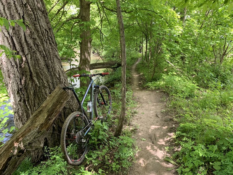 Along the creek