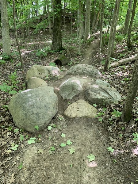 Boulder garden