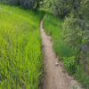 Passing through a small ravine on Grazing Elk trail