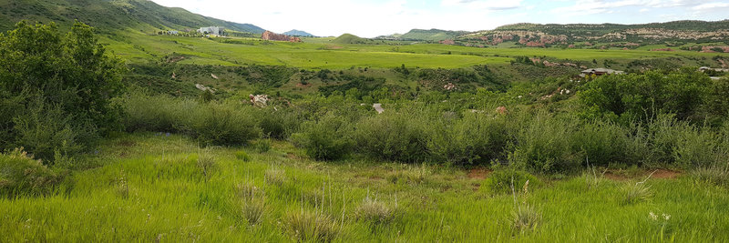 View from the top of Rattlesnake Gulch looking toward Grazing Elk trail and South Valley park