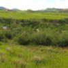 View from the top of Rattlesnake Gulch looking toward Grazing Elk trail and South Valley park