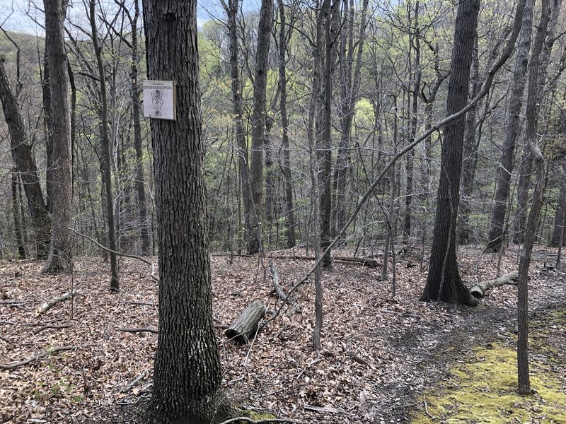 Signage at the top of Stonehendge