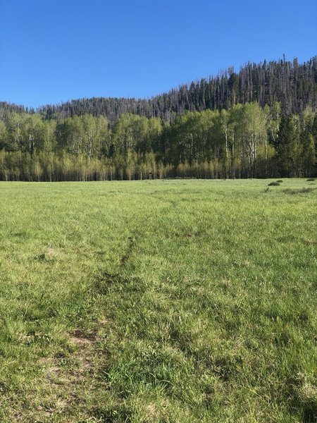 Doe Creek Trail, Meadow section looking southeast